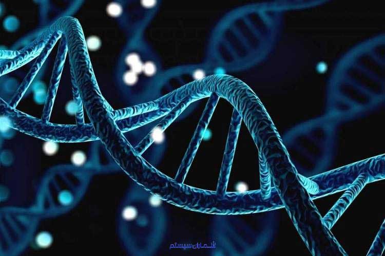 تحقیقات مایکروسافت در حوزه ذخیره‌سازی بر روی DNA به مرحله جدید مهمی رسید