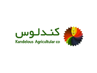 راهکار صنعت آرایشی و بهداشتی کندلوس